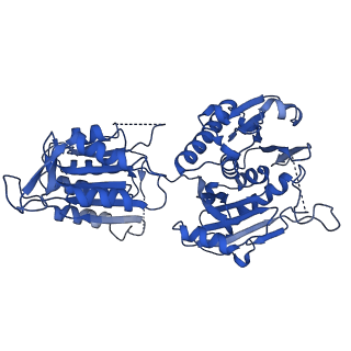 41358_8tl0_D_v1-0
Structure of activated SAVED-CHAT filament