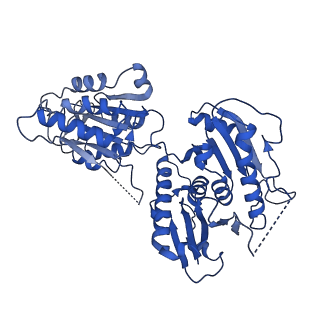 41358_8tl0_I_v1-0
Structure of activated SAVED-CHAT filament