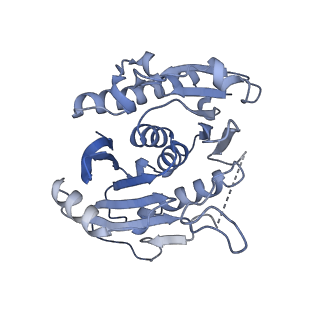 41358_8tl0_K_v1-0
Structure of activated SAVED-CHAT filament