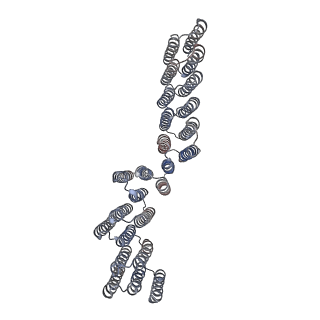 41364_8tl7_S_v1-1
CryoEM Structure of a Computationally Designed T3 Tetrahedral Nanocage