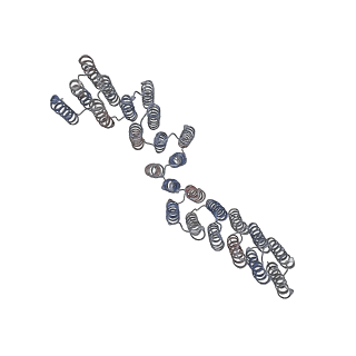 41364_8tl7_T_v1-1
CryoEM Structure of a Computationally Designed T3 Tetrahedral Nanocage