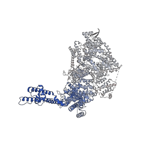 41365_8tl9_A_v1-0
Human Type 3 IP3 Receptor - Resting State (+IP3/ATP)