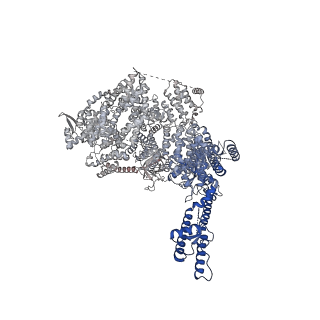41365_8tl9_B_v1-0
Human Type 3 IP3 Receptor - Resting State (+IP3/ATP)