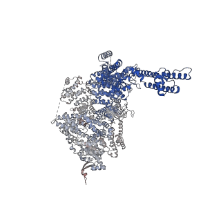 41365_8tl9_C_v1-0
Human Type 3 IP3 Receptor - Resting State (+IP3/ATP)