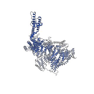 41365_8tl9_D_v1-0
Human Type 3 IP3 Receptor - Resting State (+IP3/ATP)