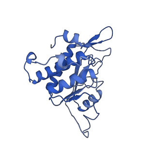 10519_6tmf_B_v1-2
Structure of an archaeal ABCE1-bound ribosomal post-splitting complex