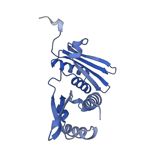 10519_6tmf_C_v1-2
Structure of an archaeal ABCE1-bound ribosomal post-splitting complex
