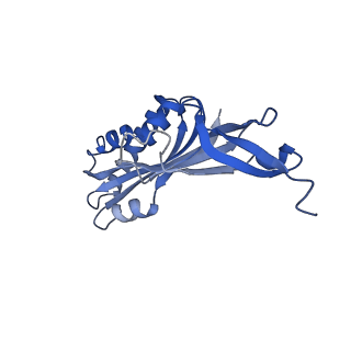 10519_6tmf_D_v1-2
Structure of an archaeal ABCE1-bound ribosomal post-splitting complex