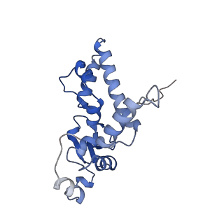 10519_6tmf_E_v1-2
Structure of an archaeal ABCE1-bound ribosomal post-splitting complex