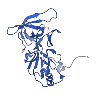 10519_6tmf_F_v1-2
Structure of an archaeal ABCE1-bound ribosomal post-splitting complex