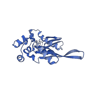 10519_6tmf_G_v1-2
Structure of an archaeal ABCE1-bound ribosomal post-splitting complex