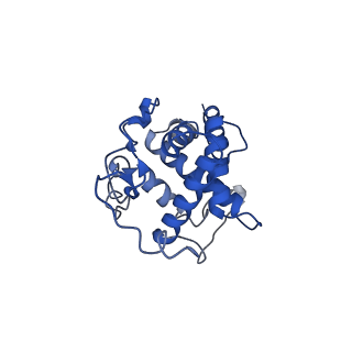 10519_6tmf_I_v1-2
Structure of an archaeal ABCE1-bound ribosomal post-splitting complex