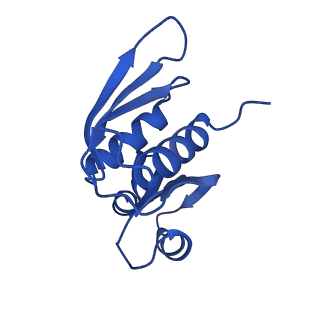 10519_6tmf_J_v1-2
Structure of an archaeal ABCE1-bound ribosomal post-splitting complex