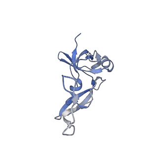 10519_6tmf_K_v1-2
Structure of an archaeal ABCE1-bound ribosomal post-splitting complex
