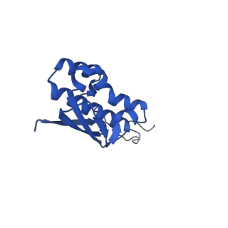 10519_6tmf_L_v1-2
Structure of an archaeal ABCE1-bound ribosomal post-splitting complex