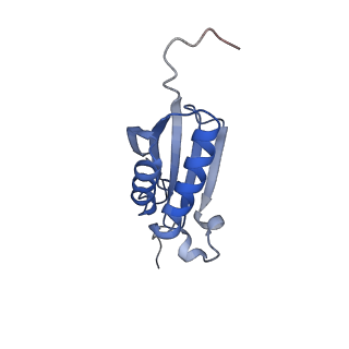 10519_6tmf_N_v1-2
Structure of an archaeal ABCE1-bound ribosomal post-splitting complex