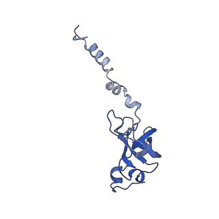 10519_6tmf_O_v1-2
Structure of an archaeal ABCE1-bound ribosomal post-splitting complex