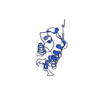 10519_6tmf_P_v1-2
Structure of an archaeal ABCE1-bound ribosomal post-splitting complex