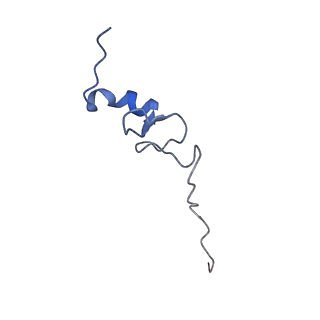 10519_6tmf_Q_v1-2
Structure of an archaeal ABCE1-bound ribosomal post-splitting complex