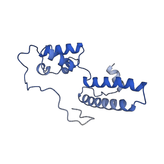 10519_6tmf_R_v1-2
Structure of an archaeal ABCE1-bound ribosomal post-splitting complex