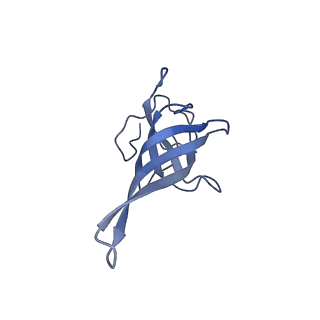 10519_6tmf_S_v1-2
Structure of an archaeal ABCE1-bound ribosomal post-splitting complex
