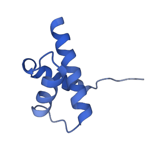 10519_6tmf_T_v1-2
Structure of an archaeal ABCE1-bound ribosomal post-splitting complex