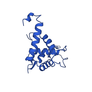 10519_6tmf_V_v1-2
Structure of an archaeal ABCE1-bound ribosomal post-splitting complex