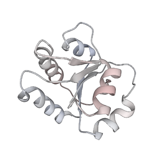 10519_6tmf_b_v1-2
Structure of an archaeal ABCE1-bound ribosomal post-splitting complex