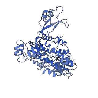 10519_6tmf_d_v1-2
Structure of an archaeal ABCE1-bound ribosomal post-splitting complex