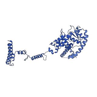 10520_6tmg_A_v1-1
Cryo-EM structure of Toxoplasma gondii mitochondrial ATP synthase dimer, membrane region model