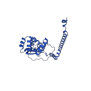 10520_6tmg_B_v1-1
Cryo-EM structure of Toxoplasma gondii mitochondrial ATP synthase dimer, membrane region model