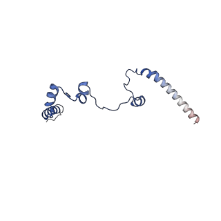 10520_6tmg_C_v1-1
Cryo-EM structure of Toxoplasma gondii mitochondrial ATP synthase dimer, membrane region model