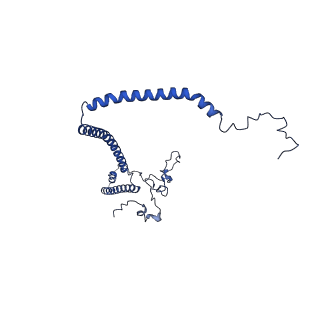 10520_6tmg_D_v1-1
Cryo-EM structure of Toxoplasma gondii mitochondrial ATP synthase dimer, membrane region model