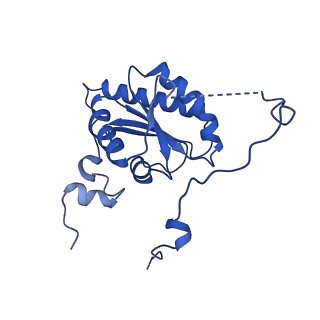 10520_6tmg_F_v1-1
Cryo-EM structure of Toxoplasma gondii mitochondrial ATP synthase dimer, membrane region model