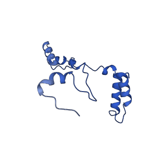 10520_6tmg_G_v1-1
Cryo-EM structure of Toxoplasma gondii mitochondrial ATP synthase dimer, membrane region model
