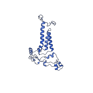 10520_6tmg_H_v1-1
Cryo-EM structure of Toxoplasma gondii mitochondrial ATP synthase dimer, membrane region model