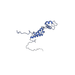 10520_6tmg_J_v1-1
Cryo-EM structure of Toxoplasma gondii mitochondrial ATP synthase dimer, membrane region model