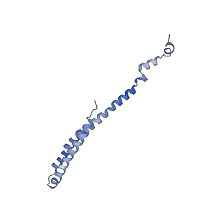 10520_6tmg_K_v1-1
Cryo-EM structure of Toxoplasma gondii mitochondrial ATP synthase dimer, membrane region model