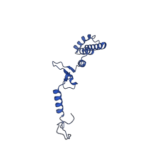 10520_6tmg_N_v1-1
Cryo-EM structure of Toxoplasma gondii mitochondrial ATP synthase dimer, membrane region model