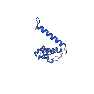 10520_6tmg_O_v1-1
Cryo-EM structure of Toxoplasma gondii mitochondrial ATP synthase dimer, membrane region model