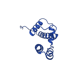 10520_6tmg_P_v1-1
Cryo-EM structure of Toxoplasma gondii mitochondrial ATP synthase dimer, membrane region model