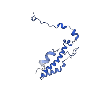 10520_6tmg_Q_v1-1
Cryo-EM structure of Toxoplasma gondii mitochondrial ATP synthase dimer, membrane region model