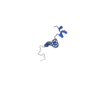 10520_6tmg_S_v1-1
Cryo-EM structure of Toxoplasma gondii mitochondrial ATP synthase dimer, membrane region model