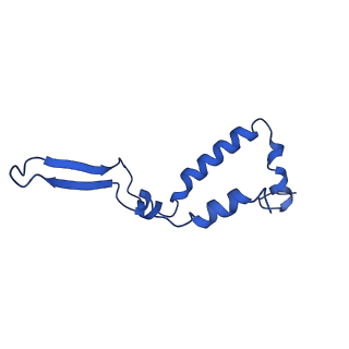 10520_6tmg_T_v1-1
Cryo-EM structure of Toxoplasma gondii mitochondrial ATP synthase dimer, membrane region model