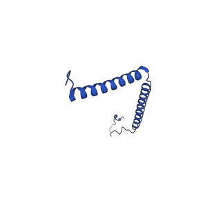10520_6tmg_U_v1-1
Cryo-EM structure of Toxoplasma gondii mitochondrial ATP synthase dimer, membrane region model