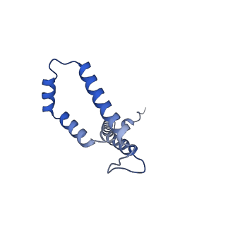 10520_6tmg_V_v1-1
Cryo-EM structure of Toxoplasma gondii mitochondrial ATP synthase dimer, membrane region model