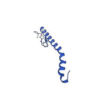 10520_6tmg_X_v1-1
Cryo-EM structure of Toxoplasma gondii mitochondrial ATP synthase dimer, membrane region model