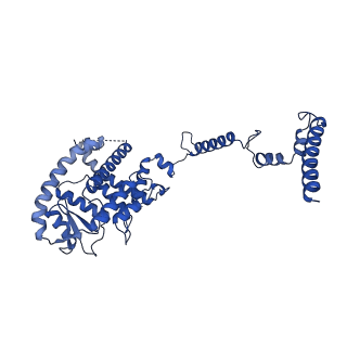 10520_6tmg_a_v1-1
Cryo-EM structure of Toxoplasma gondii mitochondrial ATP synthase dimer, membrane region model