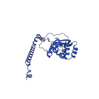 10520_6tmg_b_v1-1
Cryo-EM structure of Toxoplasma gondii mitochondrial ATP synthase dimer, membrane region model