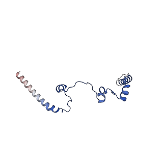10520_6tmg_c_v1-1
Cryo-EM structure of Toxoplasma gondii mitochondrial ATP synthase dimer, membrane region model